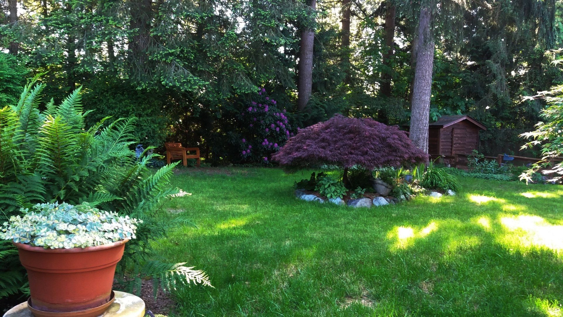 New plant installation with landscape rock